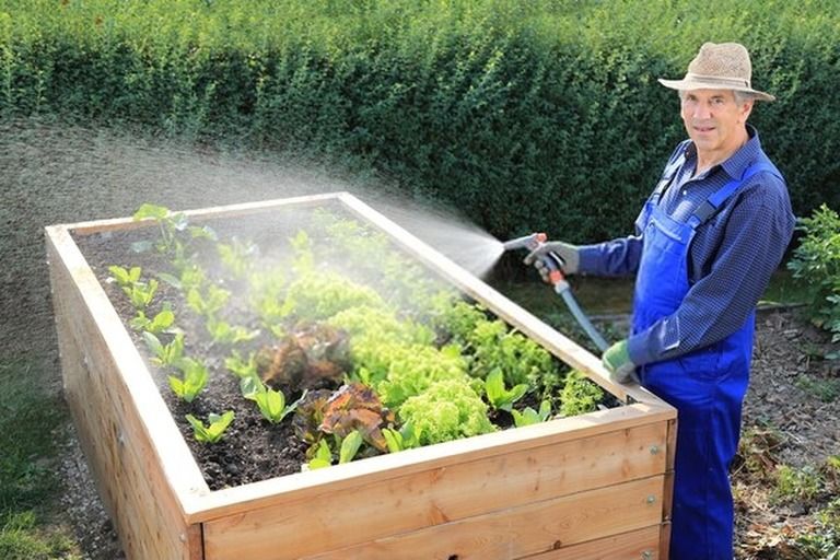 How To Build A Raised Vegetable Garden? - Guide For First Time Gardeners How To Build A Raised Vegetable Garden? - Guide For First Time Gardeners