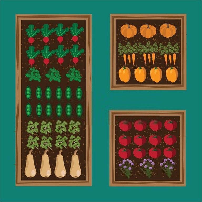 How To Build A Raised Vegetable Garden? - Guide For First Time Gardeners How To Build A Raised Vegetable Garden? - Guide For First Time Gardeners