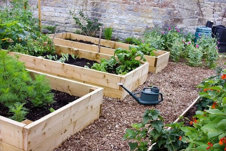 How To Build A Raised Vegetable Garden? - Guide For First Time Gardeners How To Build A Raised Vegetable Garden? - Guide For First Time Gardeners