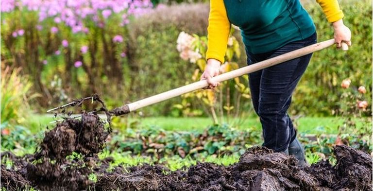 Gardening Tools List With Pictures And Their Uses Gardening Tools List With Pictures And Their Uses