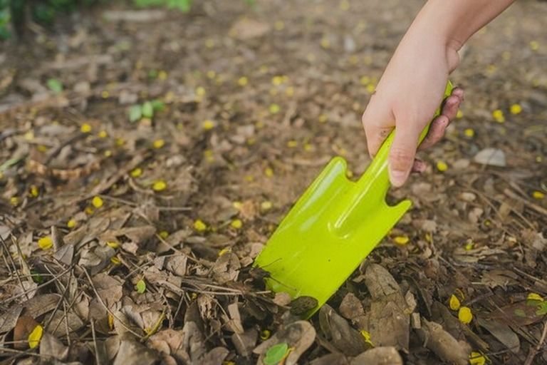 Gardening Tools List With Pictures And Their Uses Gardening Tools List With Pictures And Their Uses