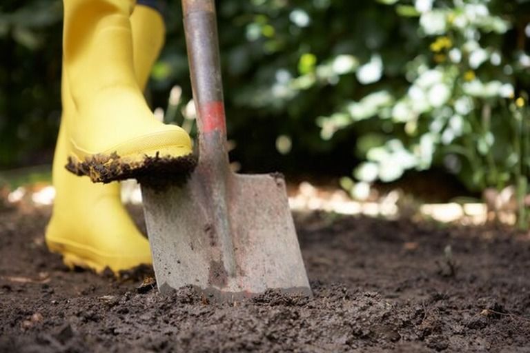 Gardening Tools List With Pictures And Their Uses Gardening Tools List With Pictures And Their Uses