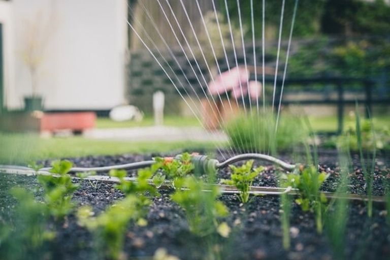 Gardening Tools List With Pictures And Their Uses Gardening Tools List With Pictures And Their Uses