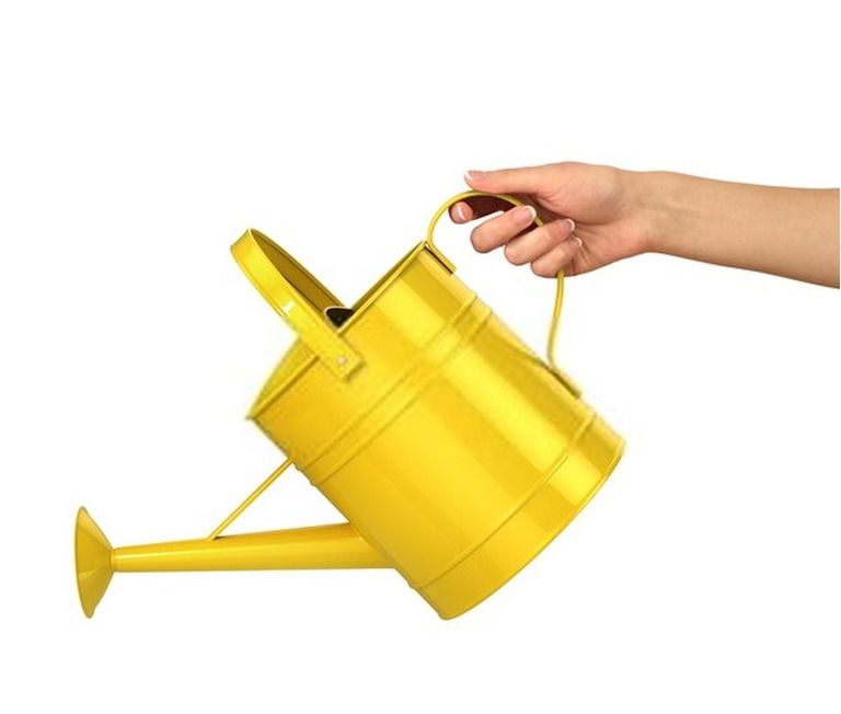 Gardening Tools List With Pictures And Their Uses Gardening Tools List With Pictures And Their Uses