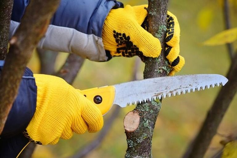 Gardening Tools List With Pictures And Their Uses Gardening Tools List With Pictures And Their Uses