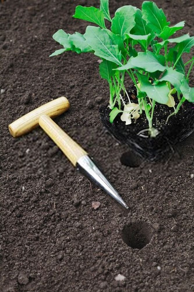 Gardening Tools List With Pictures And Their Uses Gardening Tools List With Pictures And Their Uses