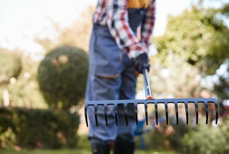Gardening Tools List With Pictures And Their Uses Gardening Tools List With Pictures And Their Uses
