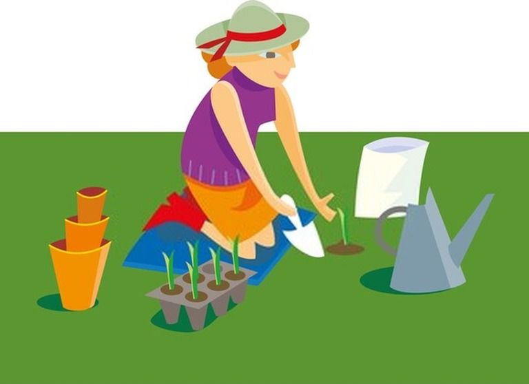 Gardening Tools List With Pictures And Their Uses Gardening Tools List With Pictures And Their Uses