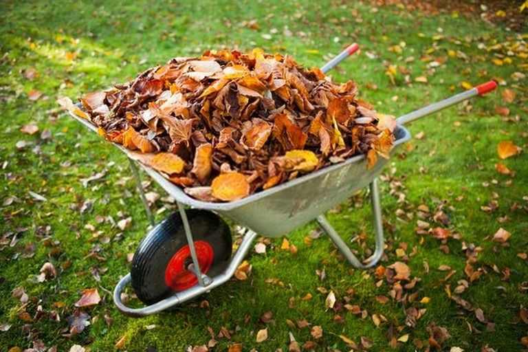 Gardening Tools List With Pictures And Their Uses Gardening Tools List With Pictures And Their Uses