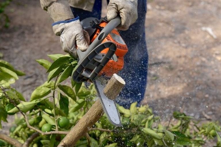 Gardening Tools List With Pictures And Their Uses Gardening Tools List With Pictures And Their Uses