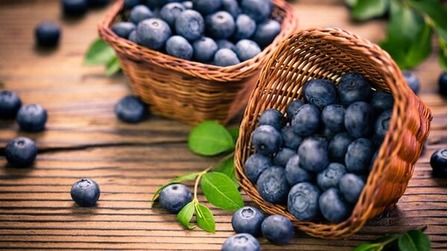 6 Best Fertilizers For Blueberries of 2025