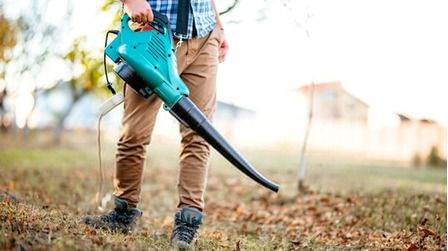 6 Most Powerful Electric Leaf Blowers of 2026
