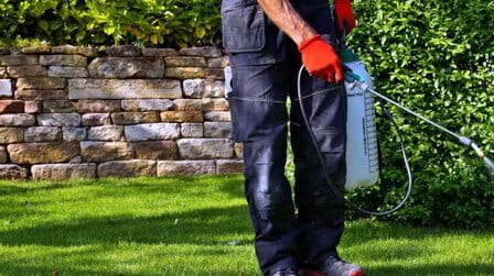 Will Pre Emergent Kill Grass Seed?