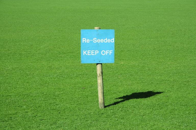 Will Pre Emergent Kill Grass Seed? Will Pre Emergent Kill Grass Seed?