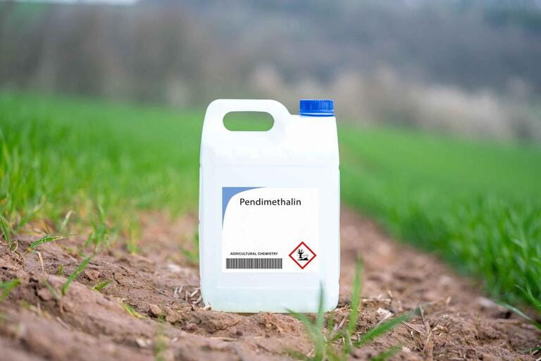 Will Pre Emergent Kill Grass Seed? Will Pre Emergent Kill Grass Seed?