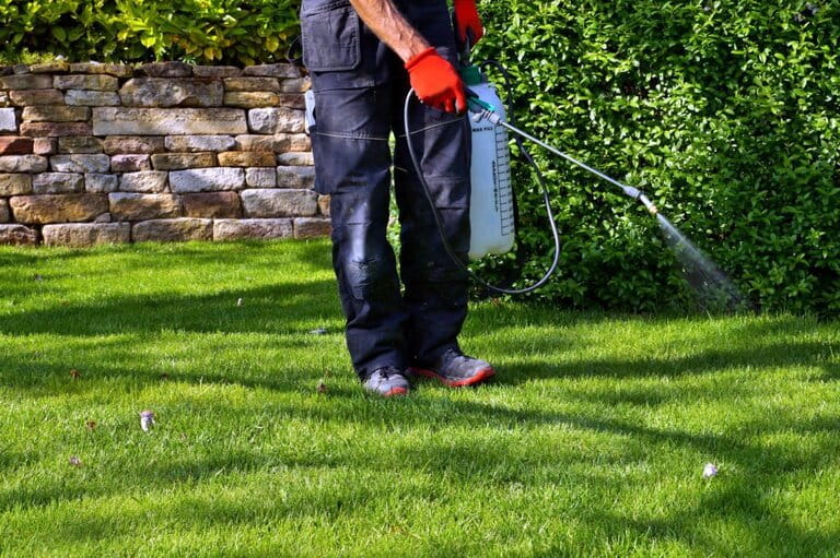 Will Pre Emergent Kill Grass Seed? Will Pre Emergent Kill Grass Seed?