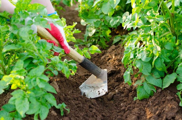 How to Sharpen a Hoe? How to Sharpen a Hoe?