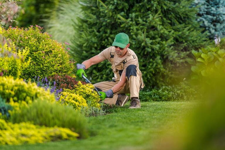 When Should You Not Trim Bushes? An In-Depth Guide