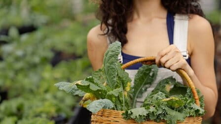 What Not to Plant with Kale