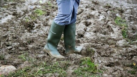 6 Best Wellington Work Boots of 2025