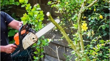 9 Most Reliable Chainsaws For Home Use of 2026