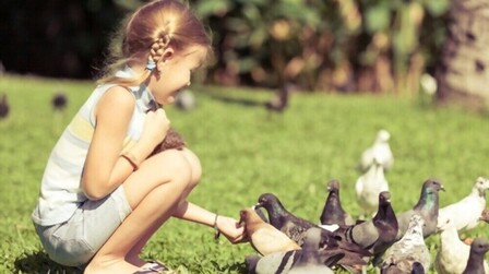 What To Feed Birds From The Kitchen