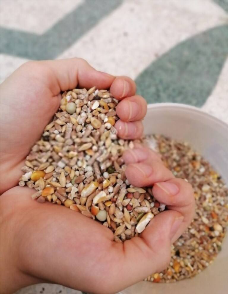 What To Feed Birds In Winter What To Feed Birds In Winter