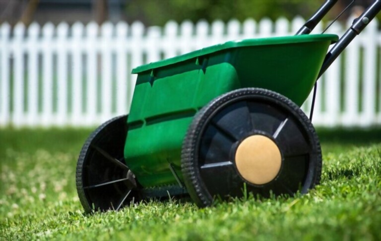 What To Do After Dethatching Lawn? What To Do After Dethatching Lawn?