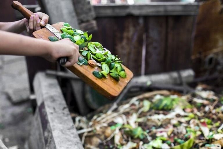 The Best Mulch For Vegetable Garden The Best Mulch For Vegetable Garden