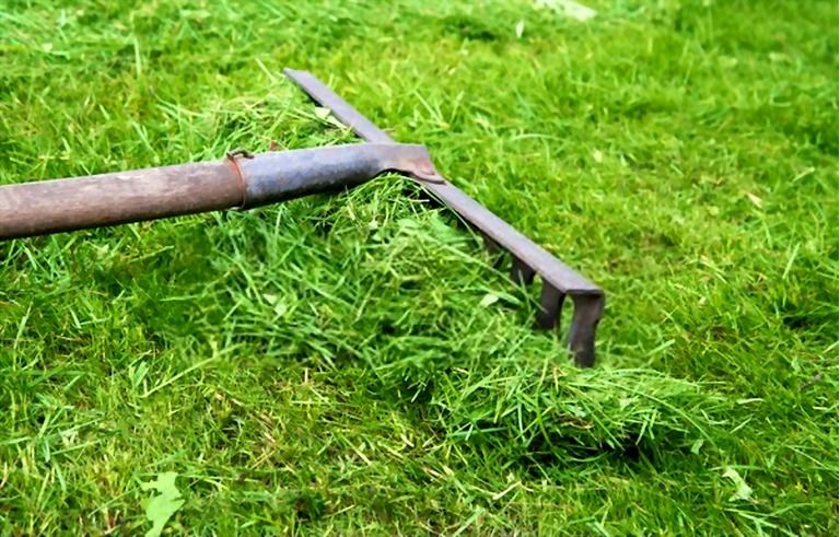 The Best Mulch For Vegetable Garden The Best Mulch For Vegetable Garden