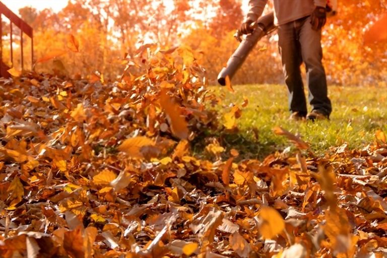 Best Way To Clean Up Leaves In A Large Yard Best Way To Clean Up Leaves In A Large Yard