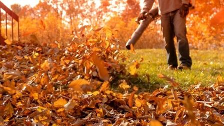 Best Way To Clean Up Leaves In A Large Yard