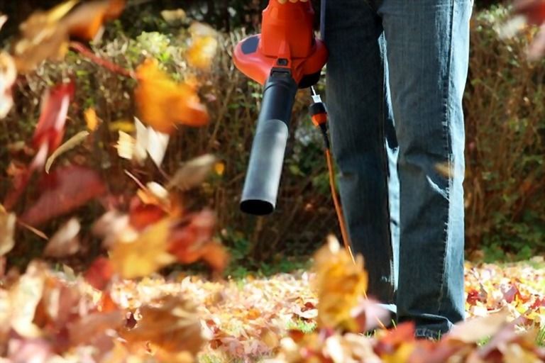 Best Way To Clean Up Leaves In A Large Yard Best Way To Clean Up Leaves In A Large Yard
