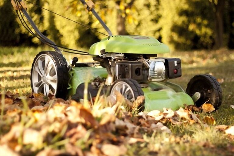 Best Way To Clean Up Leaves In A Large Yard Best Way To Clean Up Leaves In A Large Yard