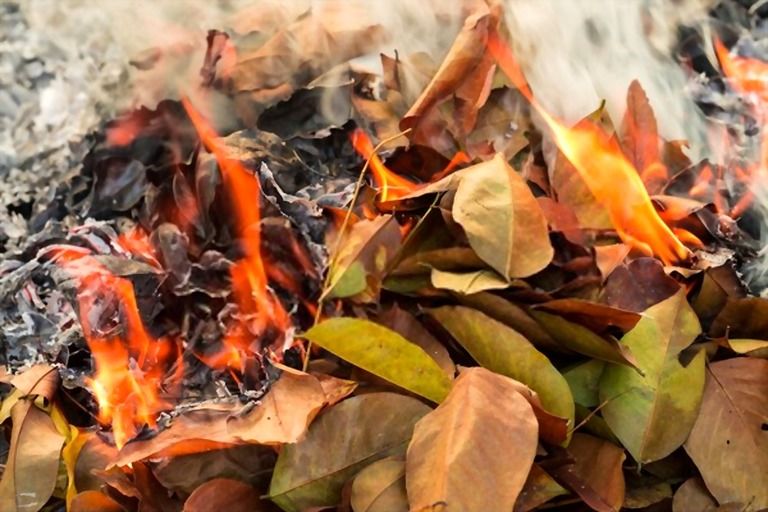 Best Way To Clean Up Leaves In A Large Yard Best Way To Clean Up Leaves In A Large Yard