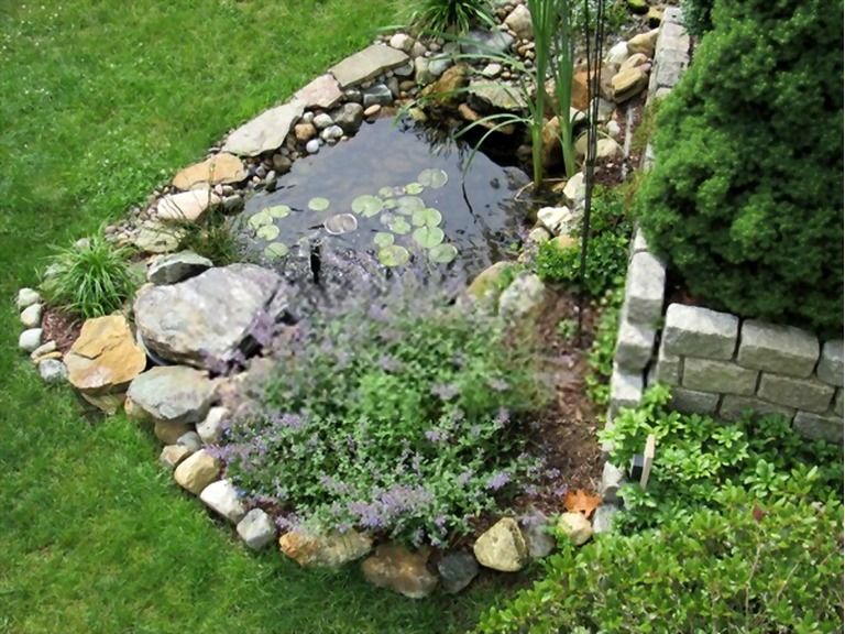 How To Build A Small Pond For Fish? How To Build A Small Pond For Fish?