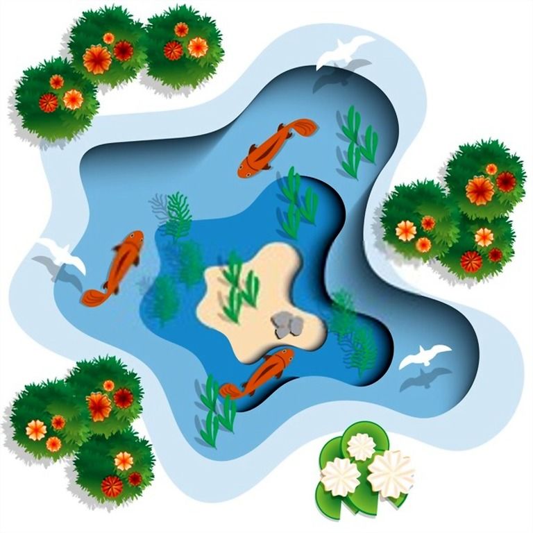How To Build A Small Pond For Fish? How To Build A Small Pond For Fish?