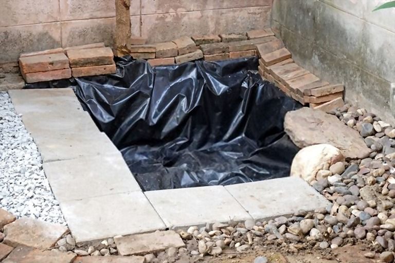 How To Build A Small Pond For Fish? How To Build A Small Pond For Fish?