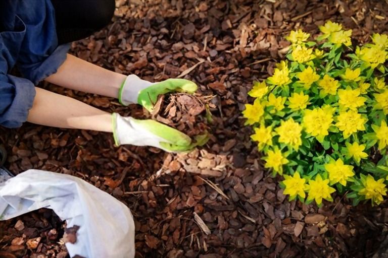 How To Mulch Flower Beds? How To Mulch Flower Beds?