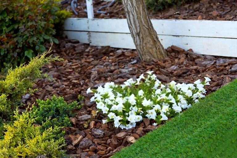 How To Mulch Flower Beds? How To Mulch Flower Beds?