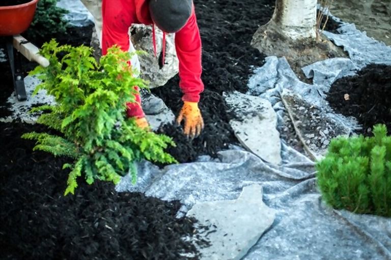 How To Mulch Flower Beds? How To Mulch Flower Beds?