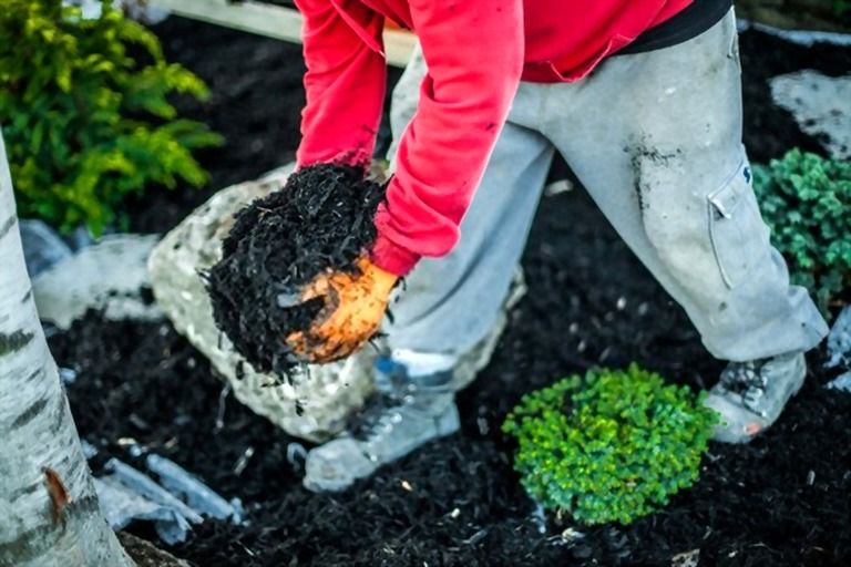 How To Mulch Flower Beds? How To Mulch Flower Beds?