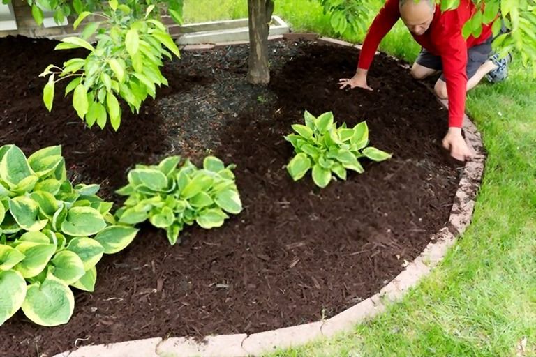 How To Mulch Flower Beds? How To Mulch Flower Beds?