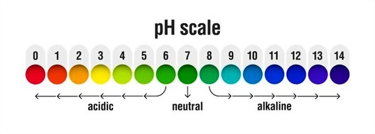 How To Make Your Grass Greener And Thicker? How To Make Your Grass Greener And Thicker?