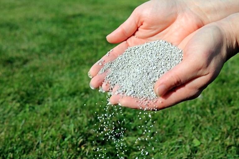 How To Make Your Grass Greener And Thicker? How To Make Your Grass Greener And Thicker?