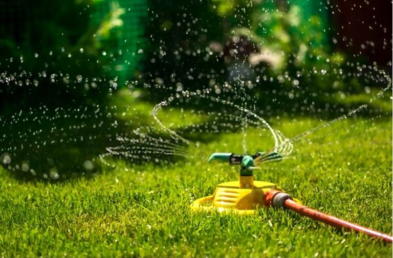 How To Make Your Grass Greener And Thicker? How To Make Your Grass Greener And Thicker?