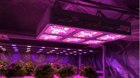 6 Best Grow Lights For Vegetables of 2025