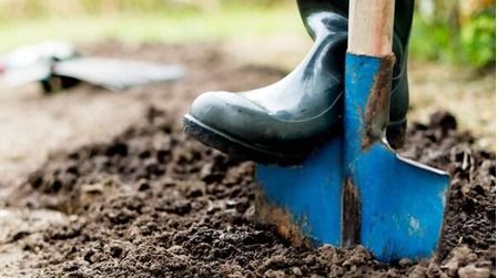 6 Best Shovels For Metal Detecting of 2026