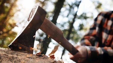 6 Best Axes For Bushcraft of 2026