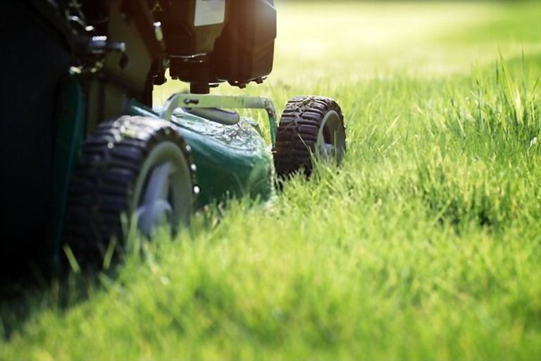 How To Keep Grass Green In Hot Weather? How To Keep Grass Green In Hot Weather?
